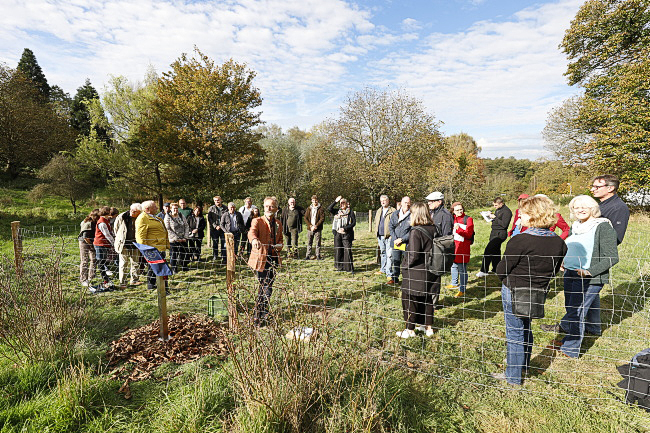 Nationaldenkmal Esskastanie Vaalserquartier